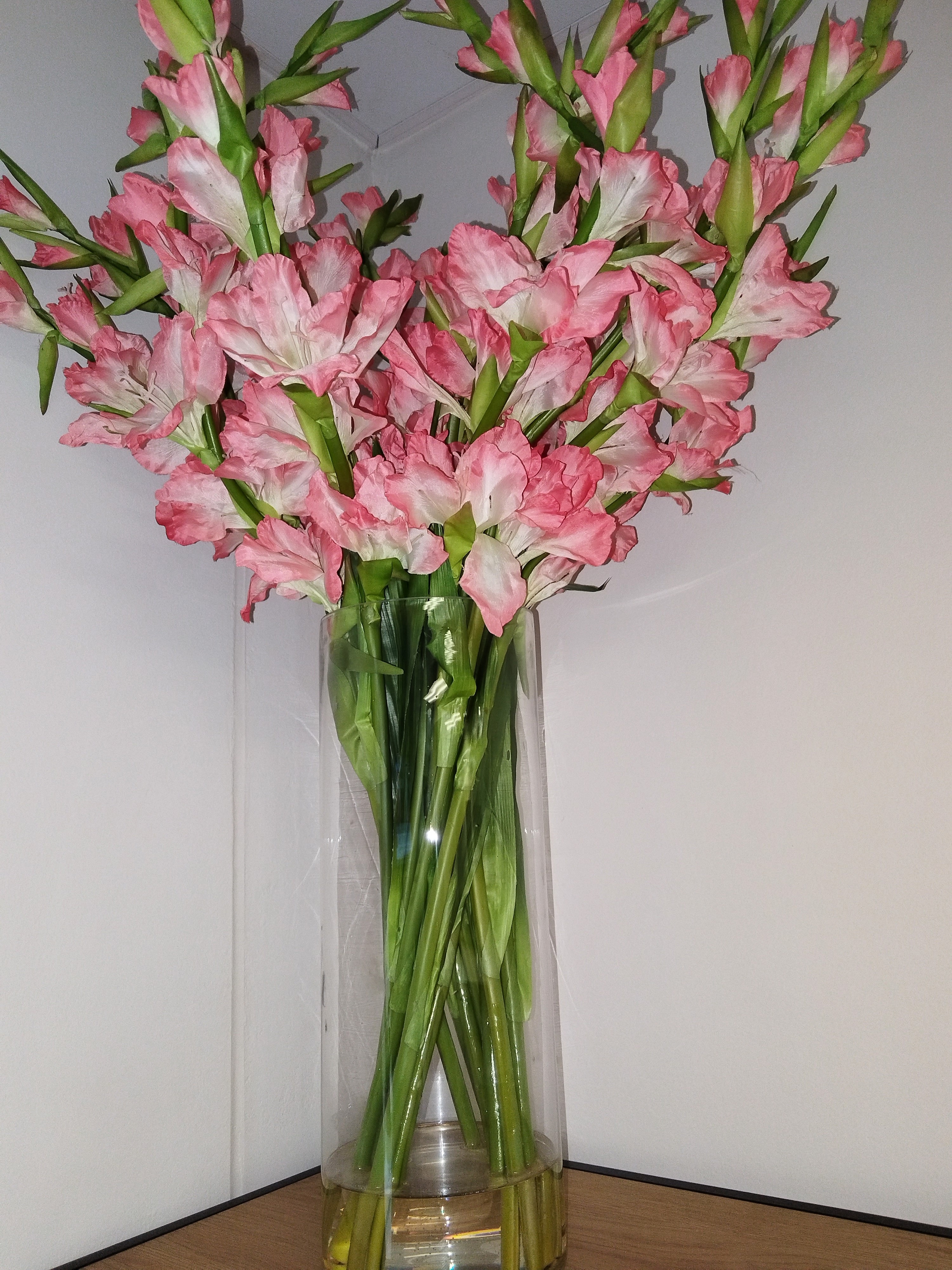 Gladioli