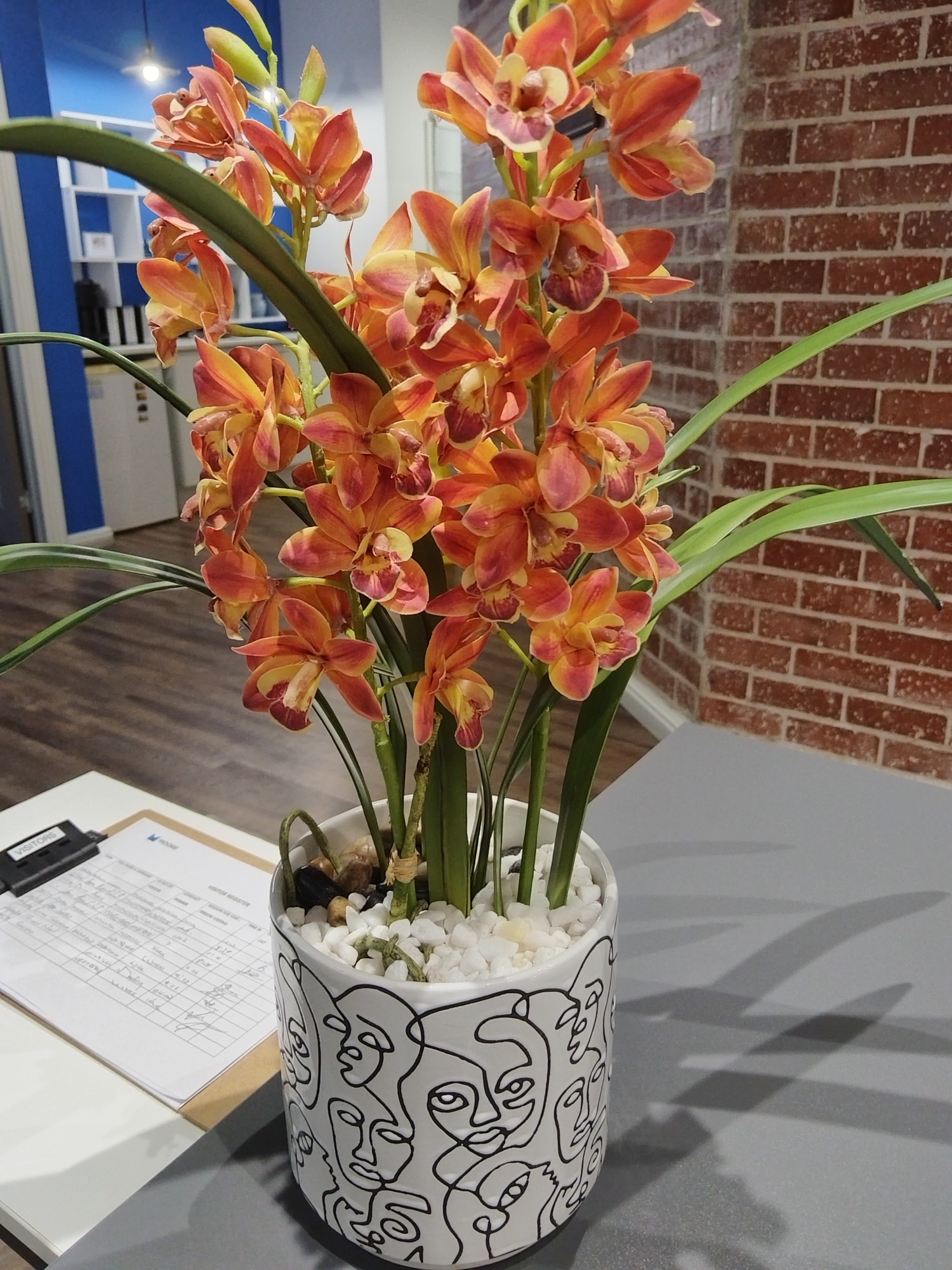 Orchid