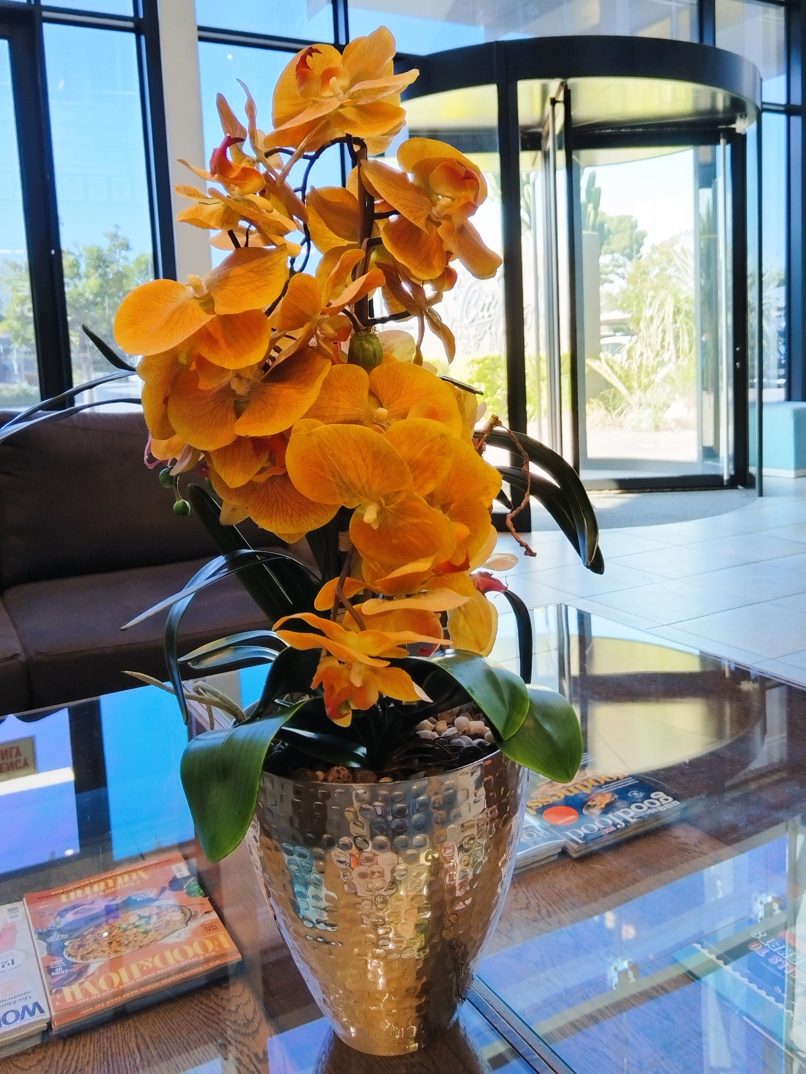 Orchid