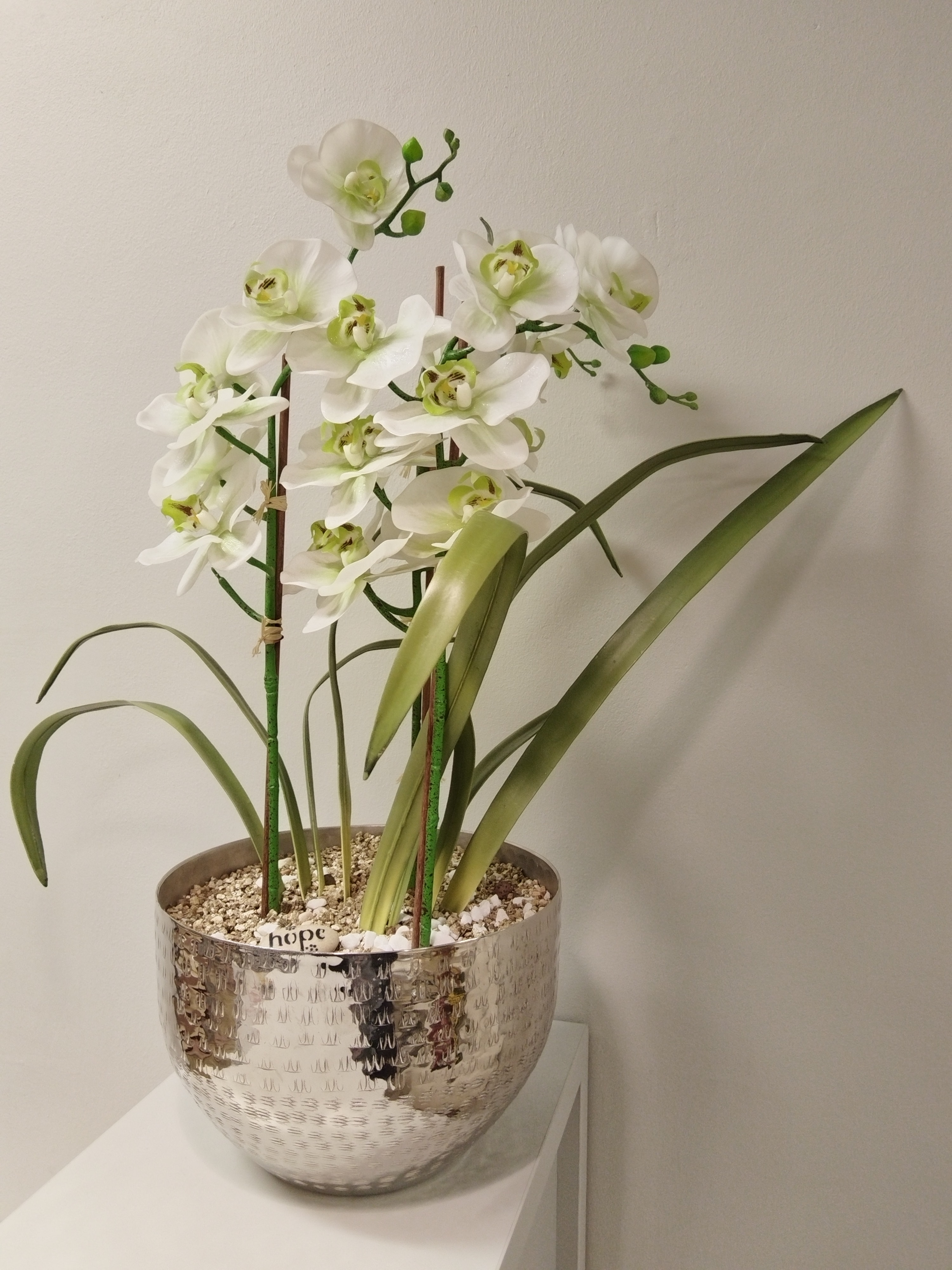 Orchid