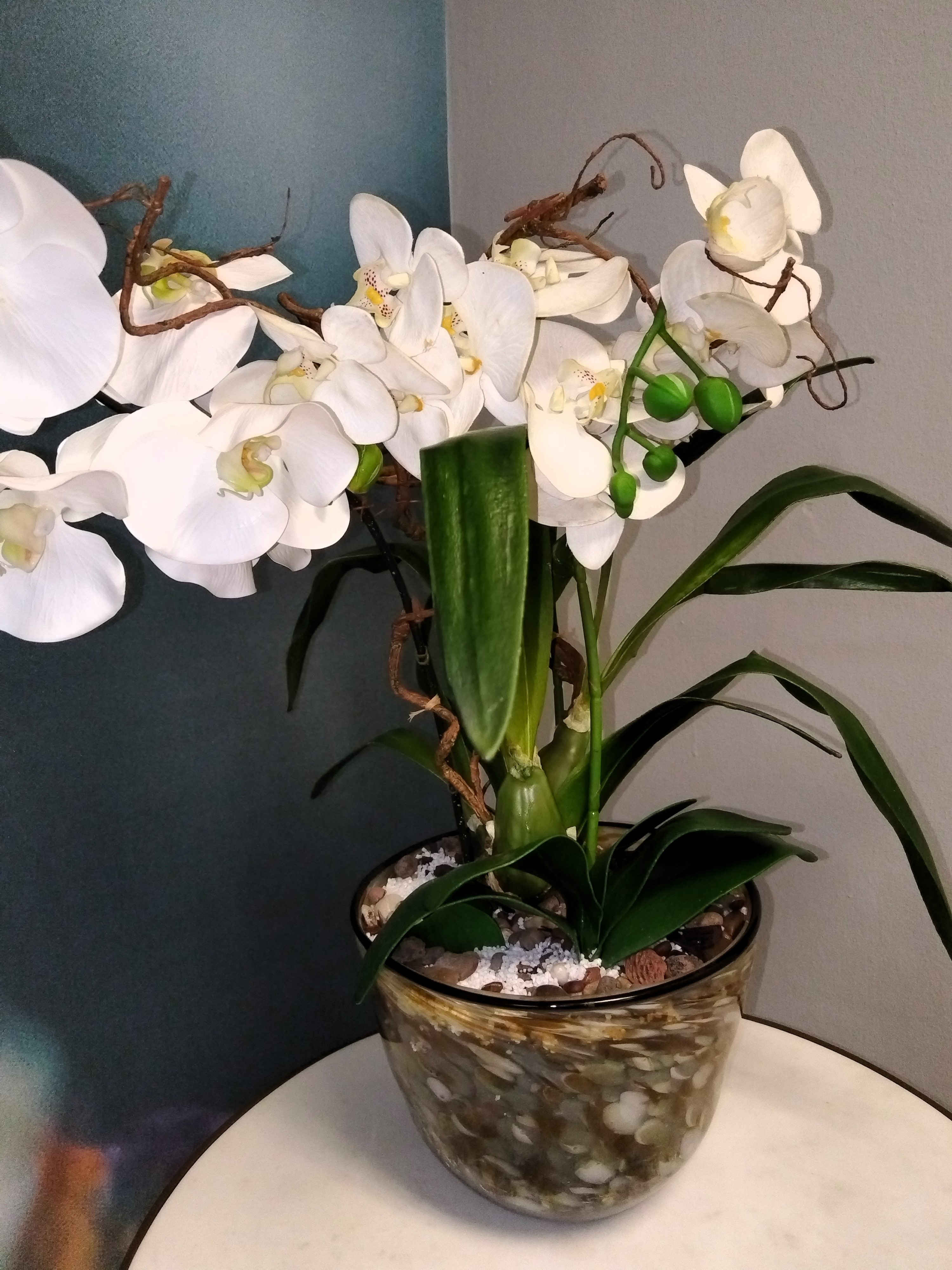Orchid