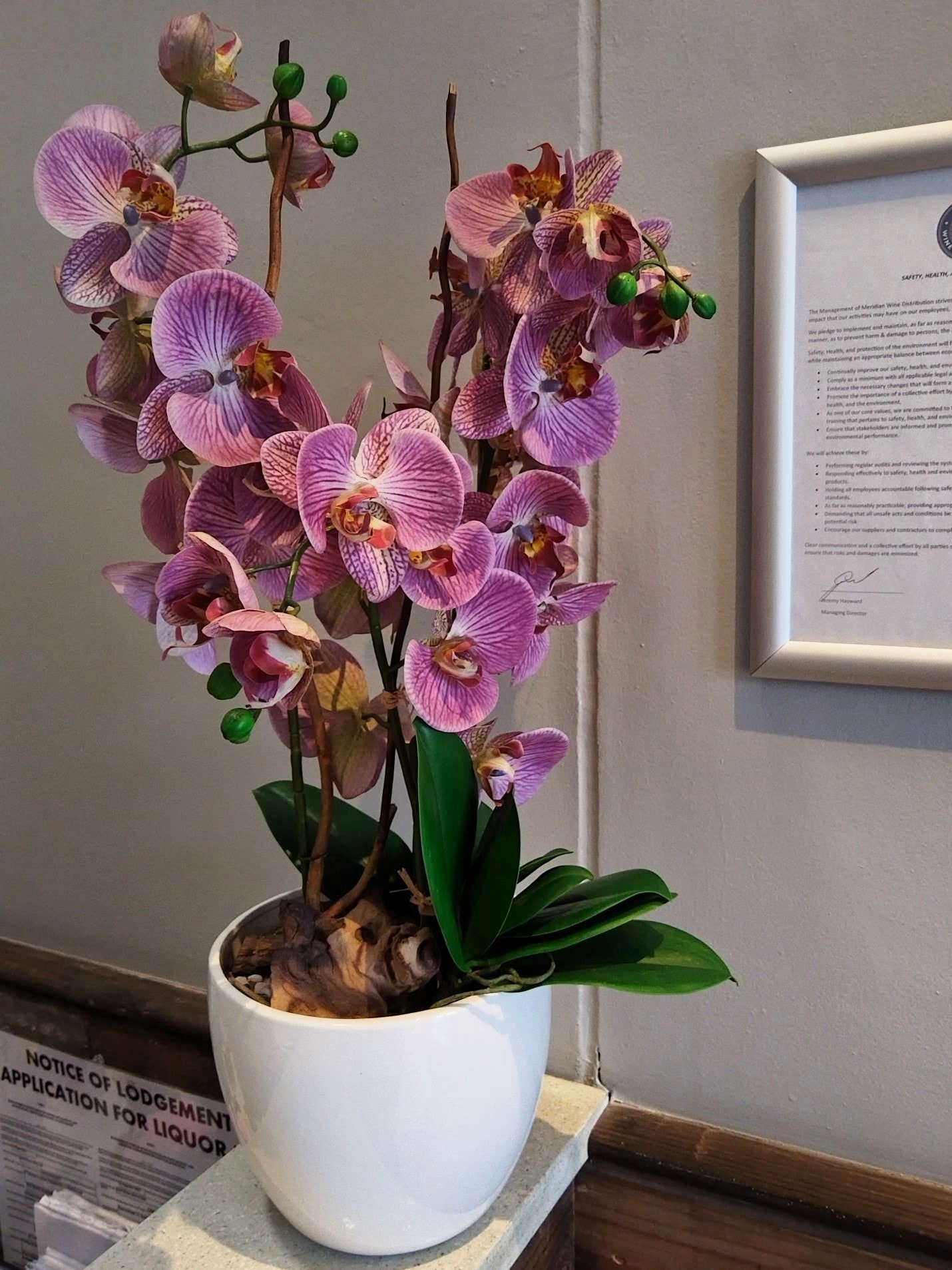 Orchid