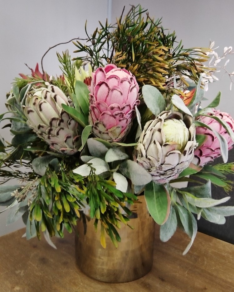 Protea