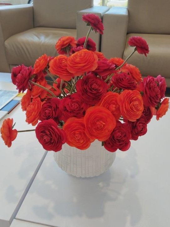 Ranunculus