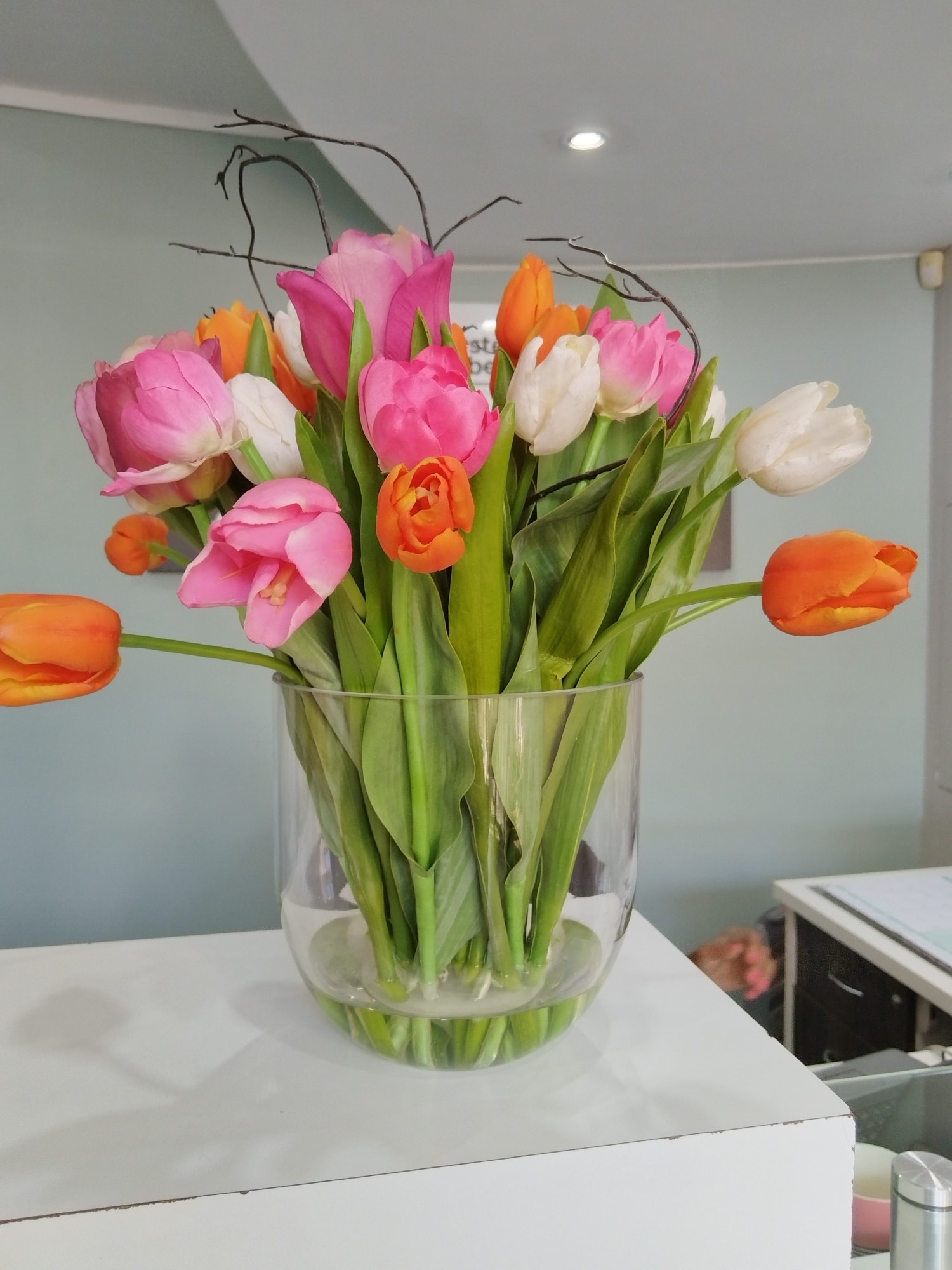 Tulips