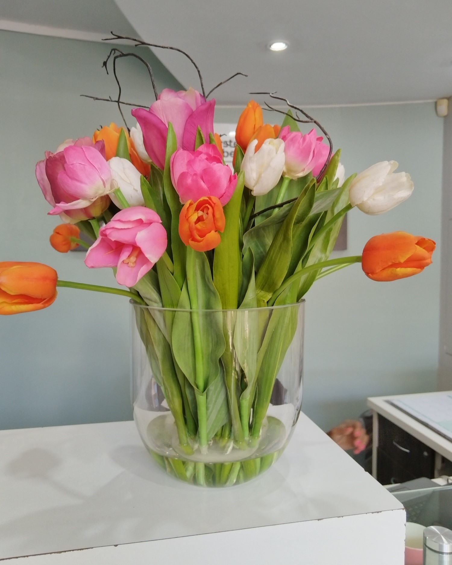 Tulips
