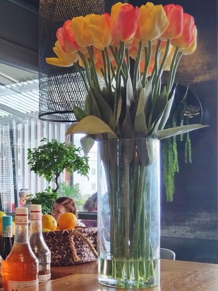 Tulips